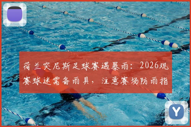 荷兰突尼斯足球赛遇暴雨：2026观赛球迷需备雨具，注意赛场防雨指南