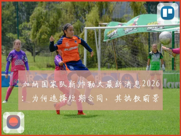 加纳国家队新帅勒夫最新消息2026：为何选择短期合同，其执教前景分析